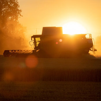 Trading des matières premières agricoles